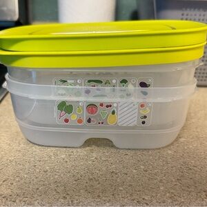 Tupperware FridgeSmart Small with Vent Tab 1/4 Qt.